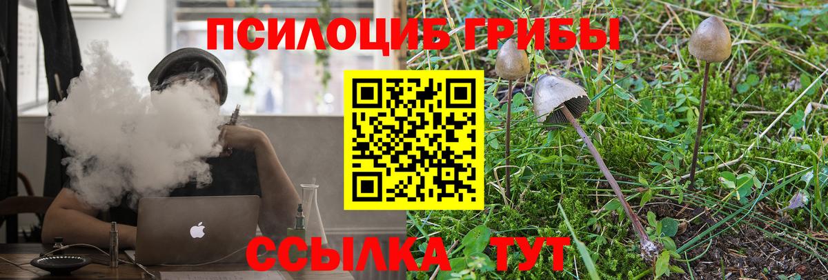 Галлюциногенные грибы мухоморы Урюпинск