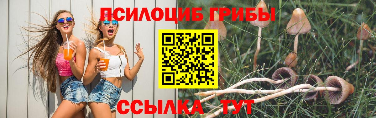 Галлюциногенные грибы Psilocybe  Вход с VPN  Урюпинск 